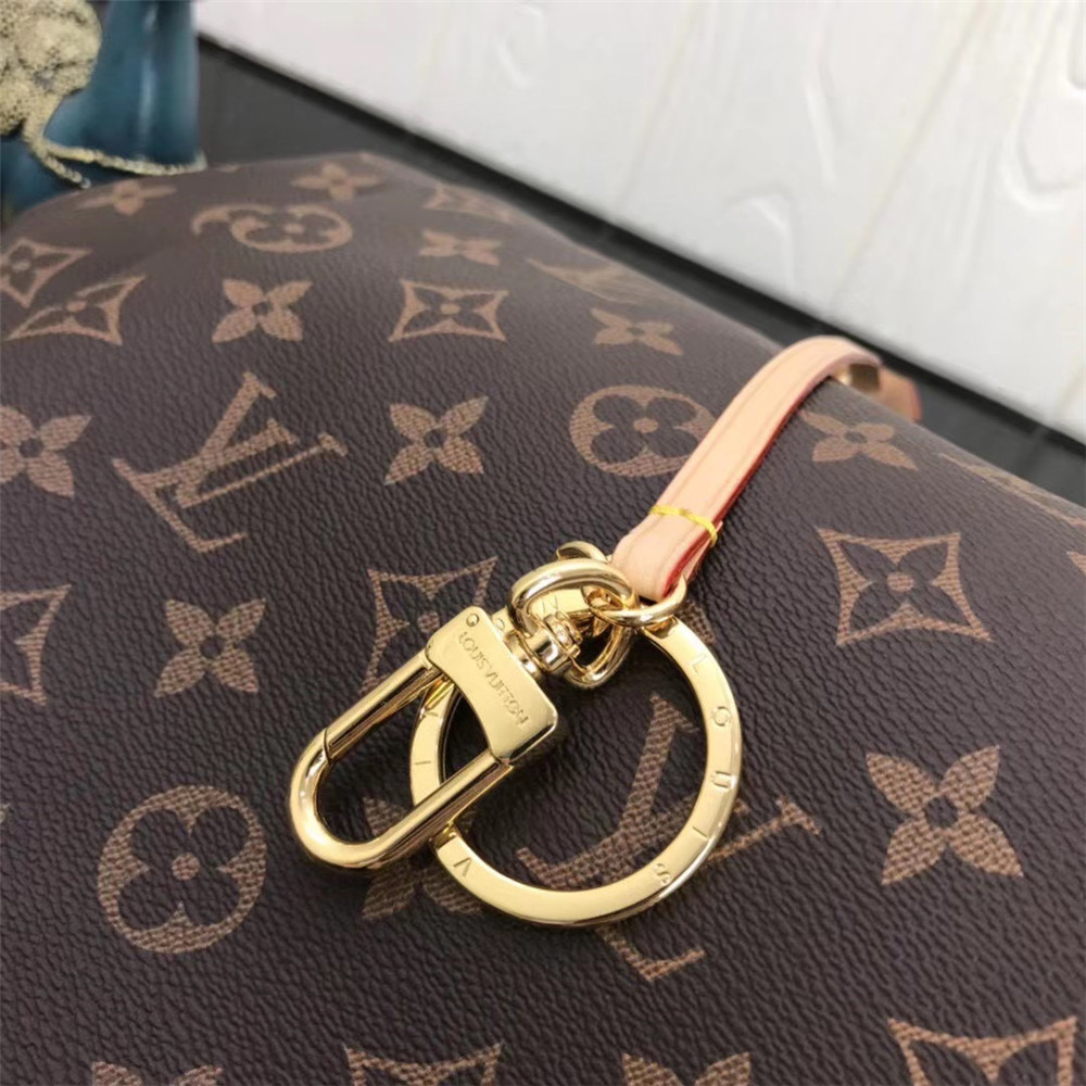 Louis Vuitton Monogram Handbag In Brown  - DesignerGu