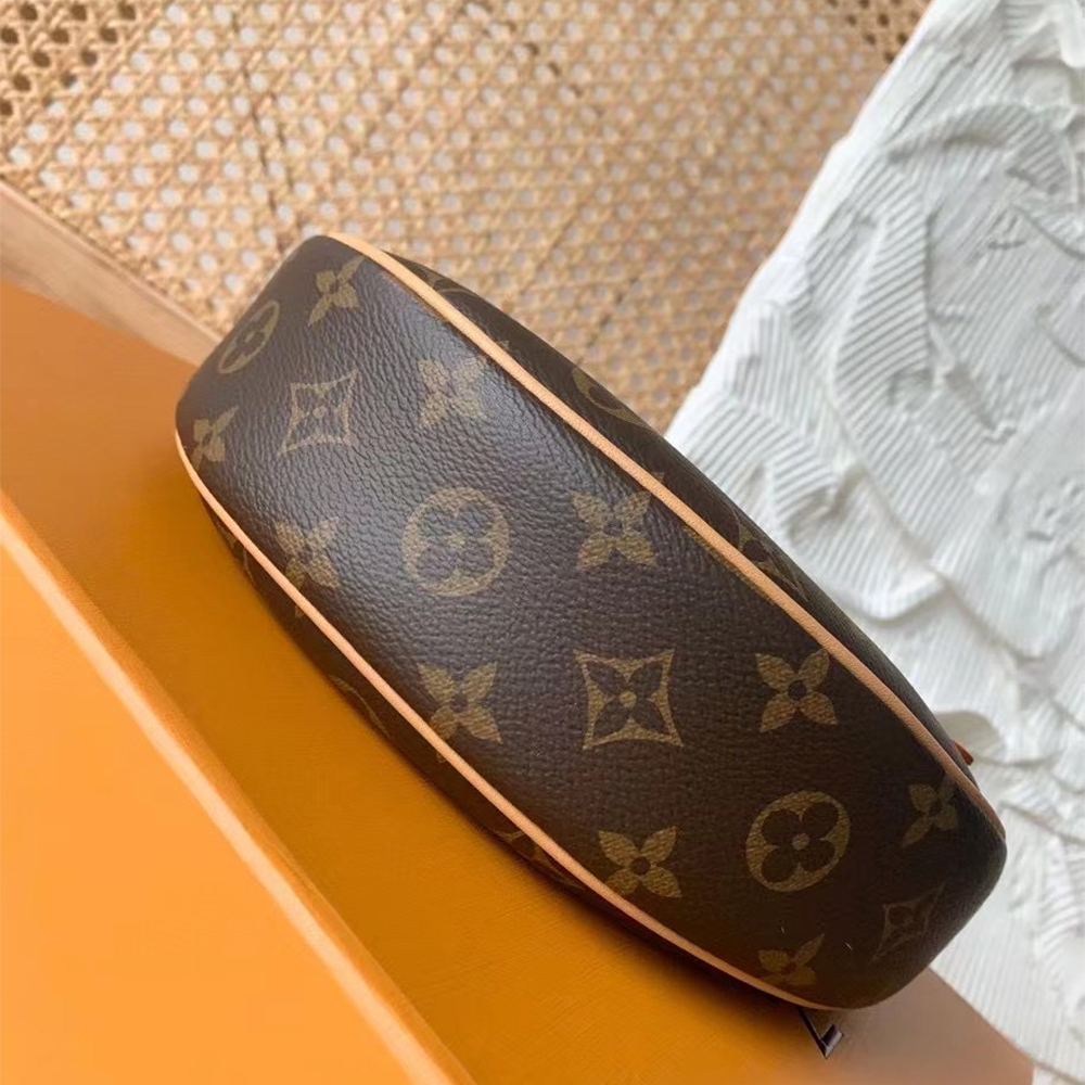 Louis Vuitton Monogram Coated Canvas Loop  Handbag - DesignerGu