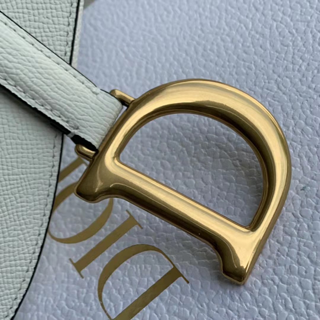 Dior Saddle Bag - DesignerGu