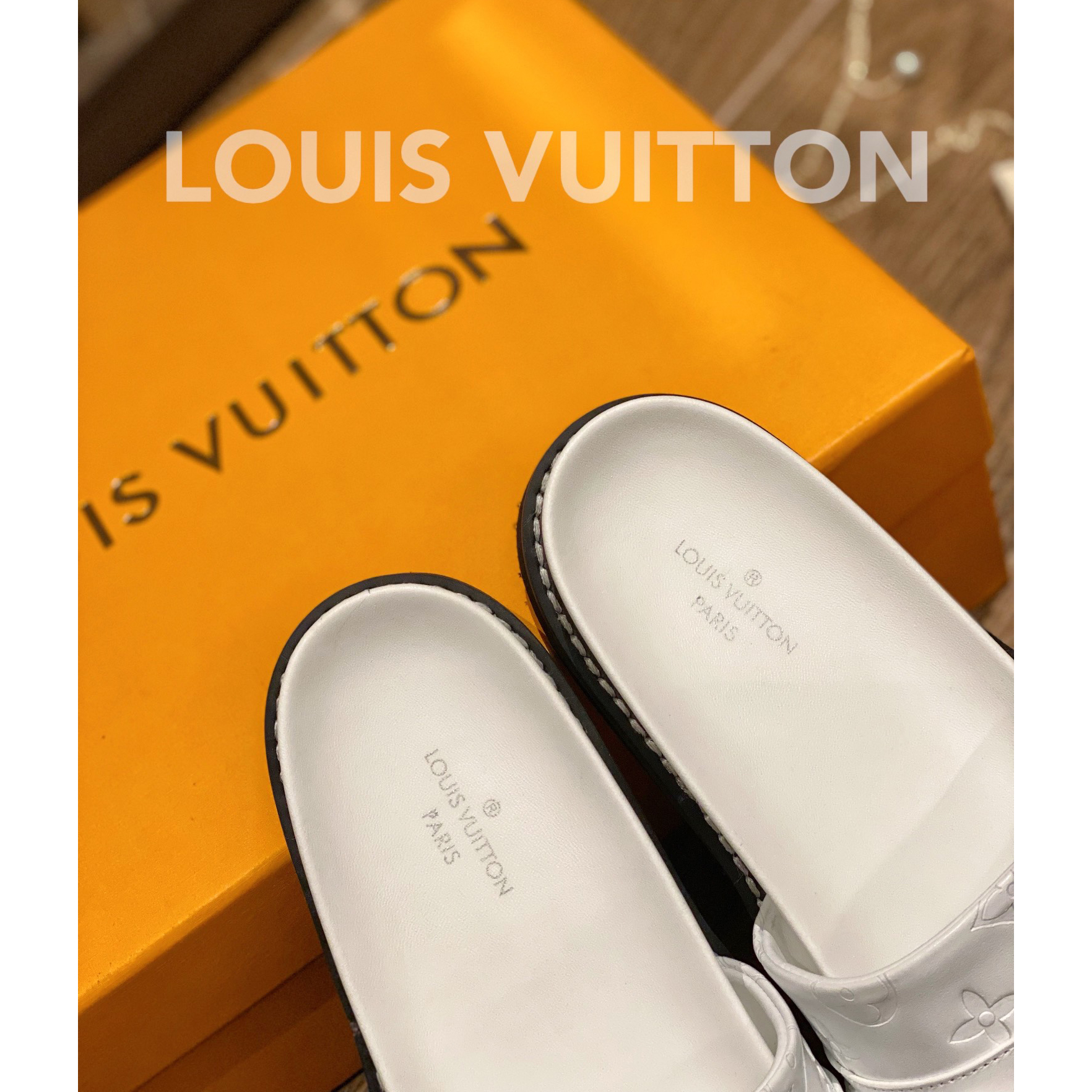 Louis Vuitton Monogram Slipper - DesignerGu