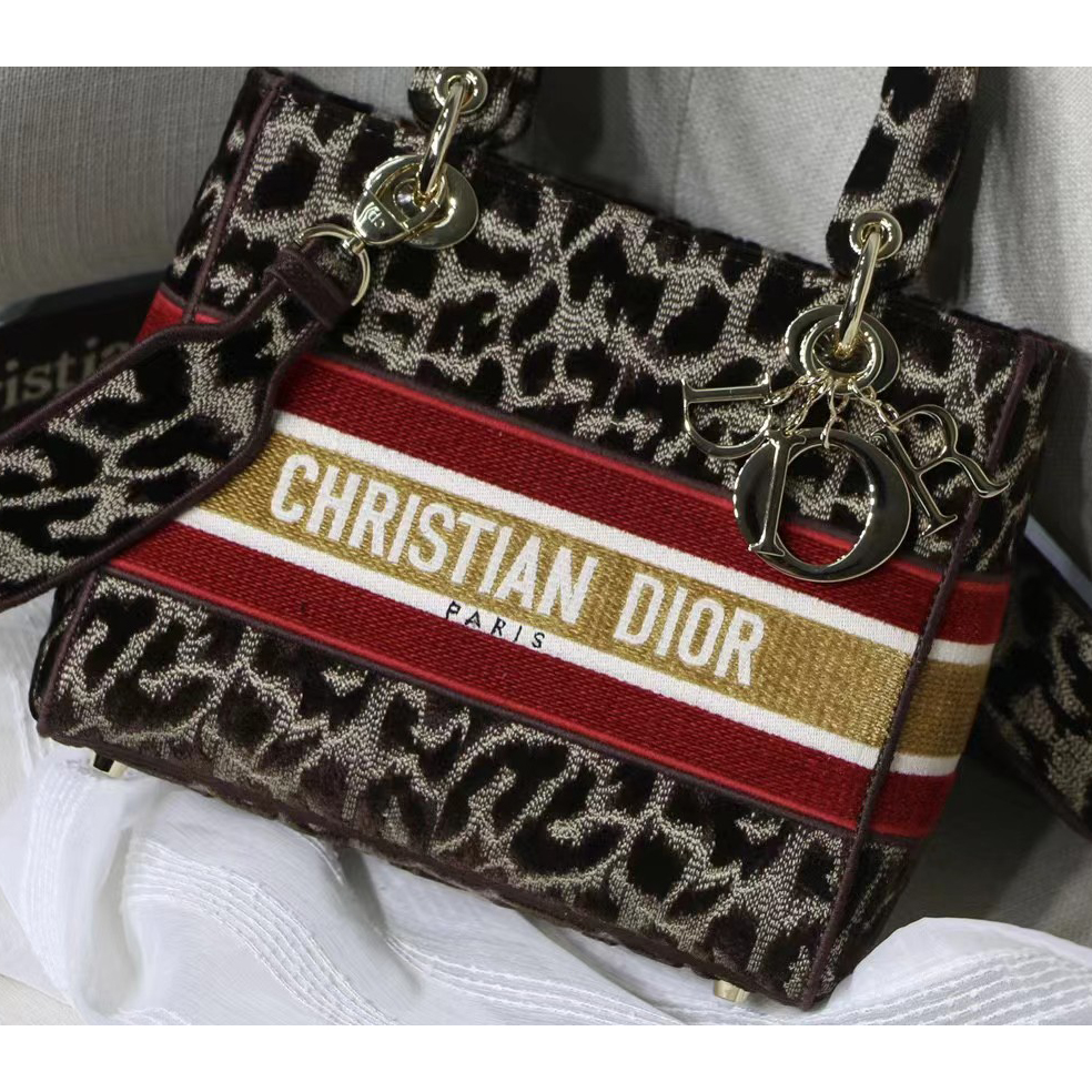 Dior Leopard Print Lady Bag（24-20-11CM） - DesignerGu