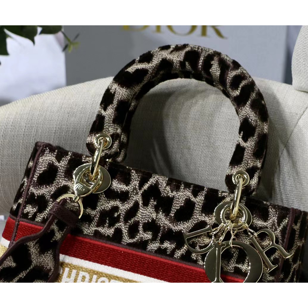 Dior Leopard Print Lady Bag（24-20-11CM） - DesignerGu