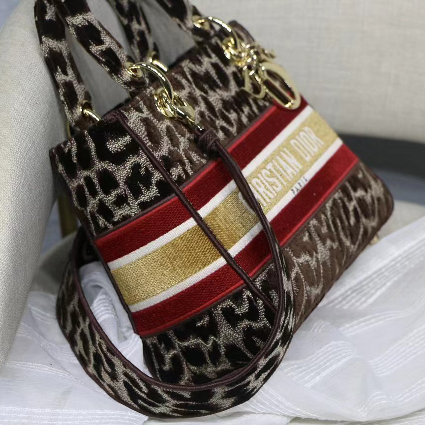 Dior Leopard Print Lady Bag（24-20-11CM） - DesignerGu