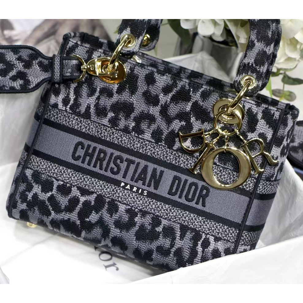 Dior Leopard Print Lady Bag（24-20-11CM） - DesignerGu