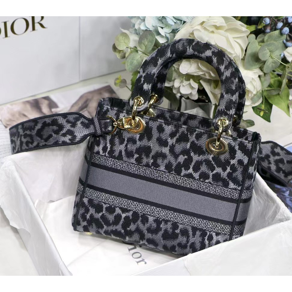 Dior Leopard Print Lady Bag（24-20-11CM） - DesignerGu