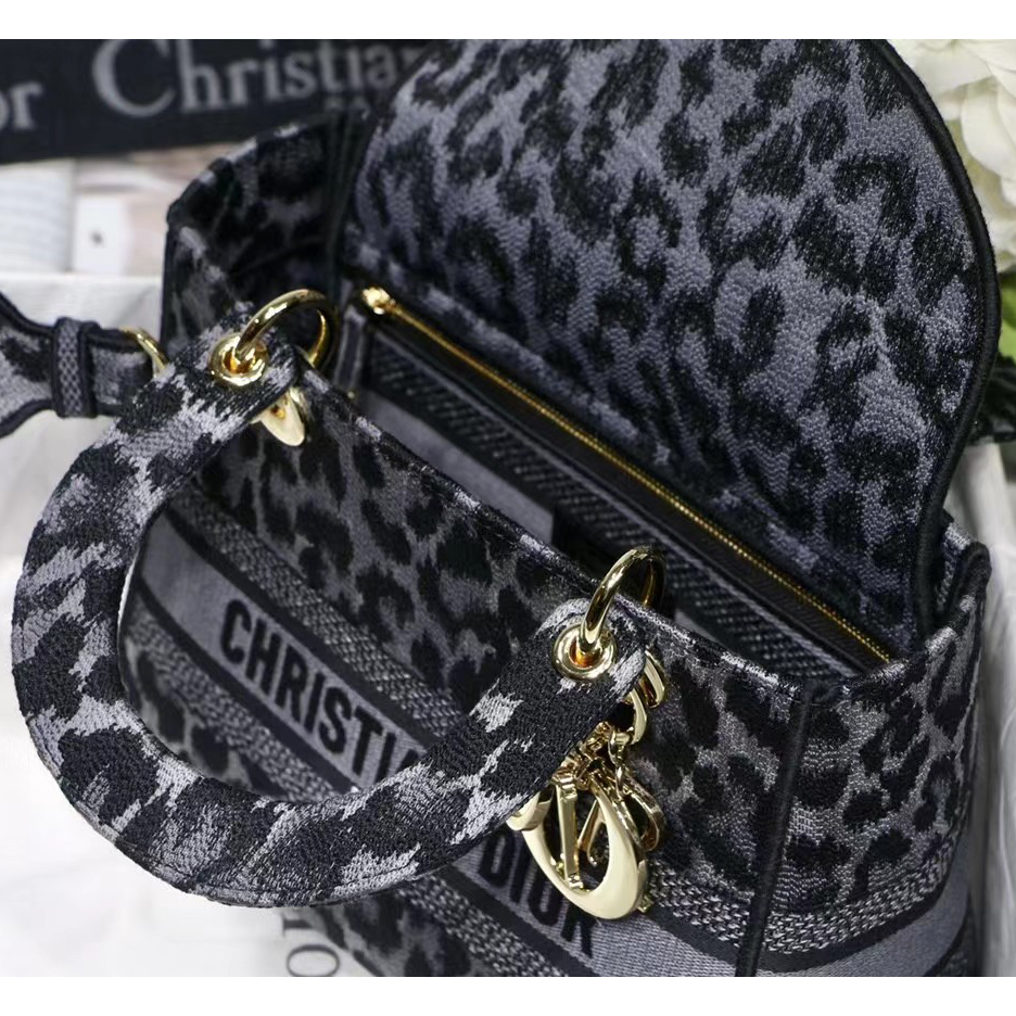 Dior Leopard Print Lady Bag（24-20-11CM） - DesignerGu