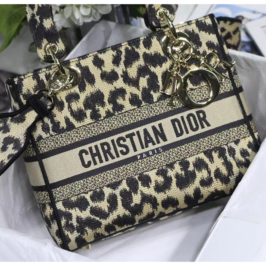 Dior Leopard Print Lady Bag（24-20-11CM） - DesignerGu