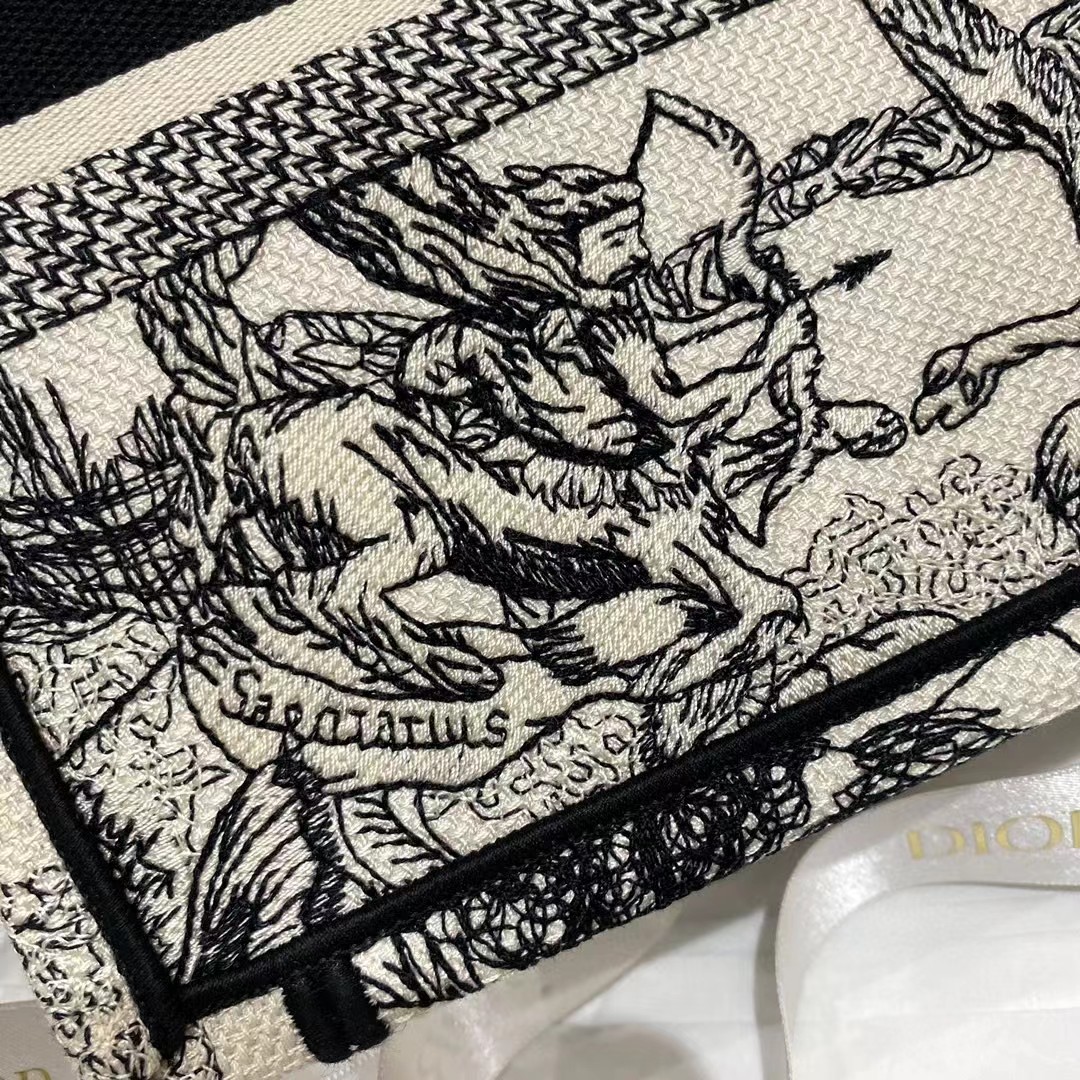 Dior Oblique Embroidered Book Tote - DesignerGu