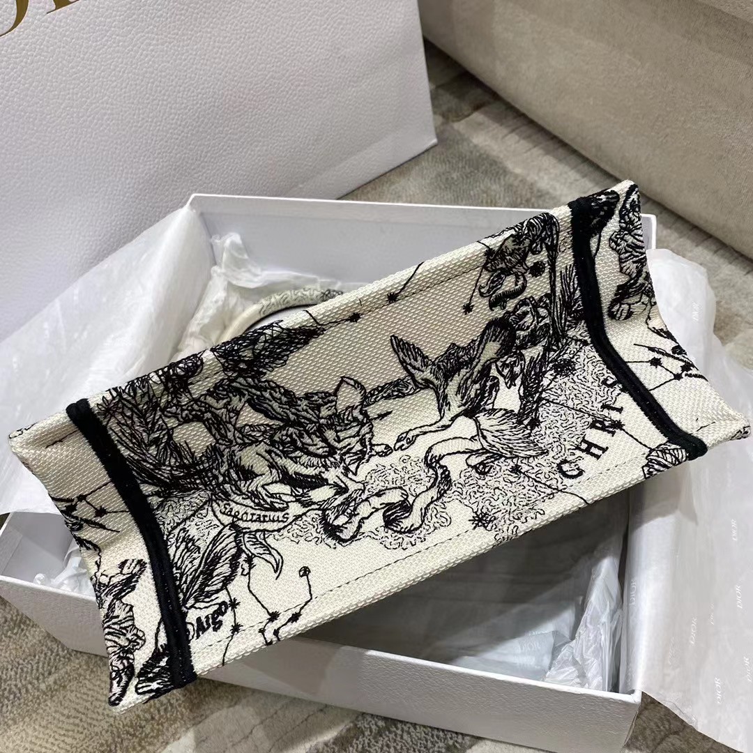 Dior Oblique Embroidered Book Tote - DesignerGu