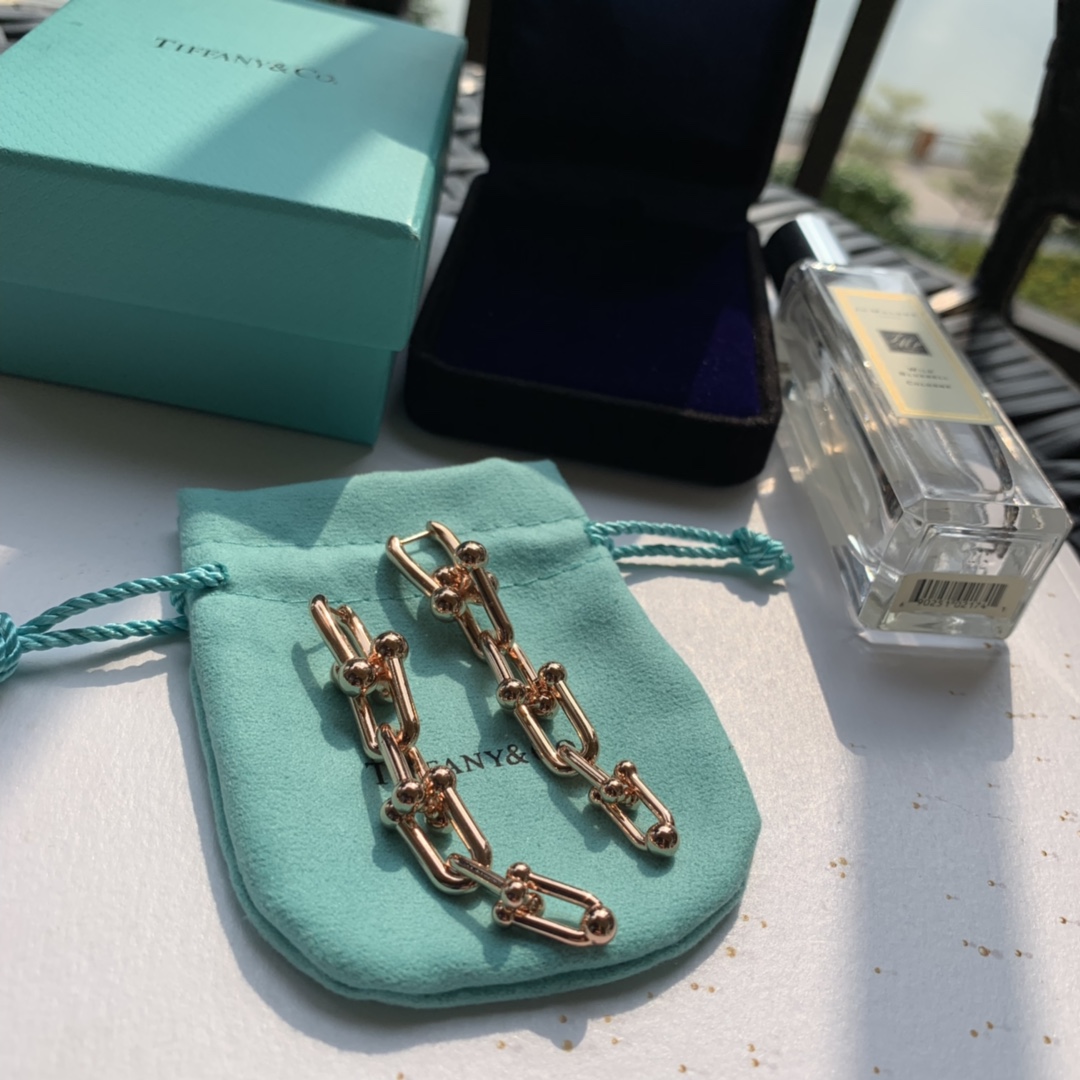 Tiffany&CO Graduated Link Earrings - DesignerGu