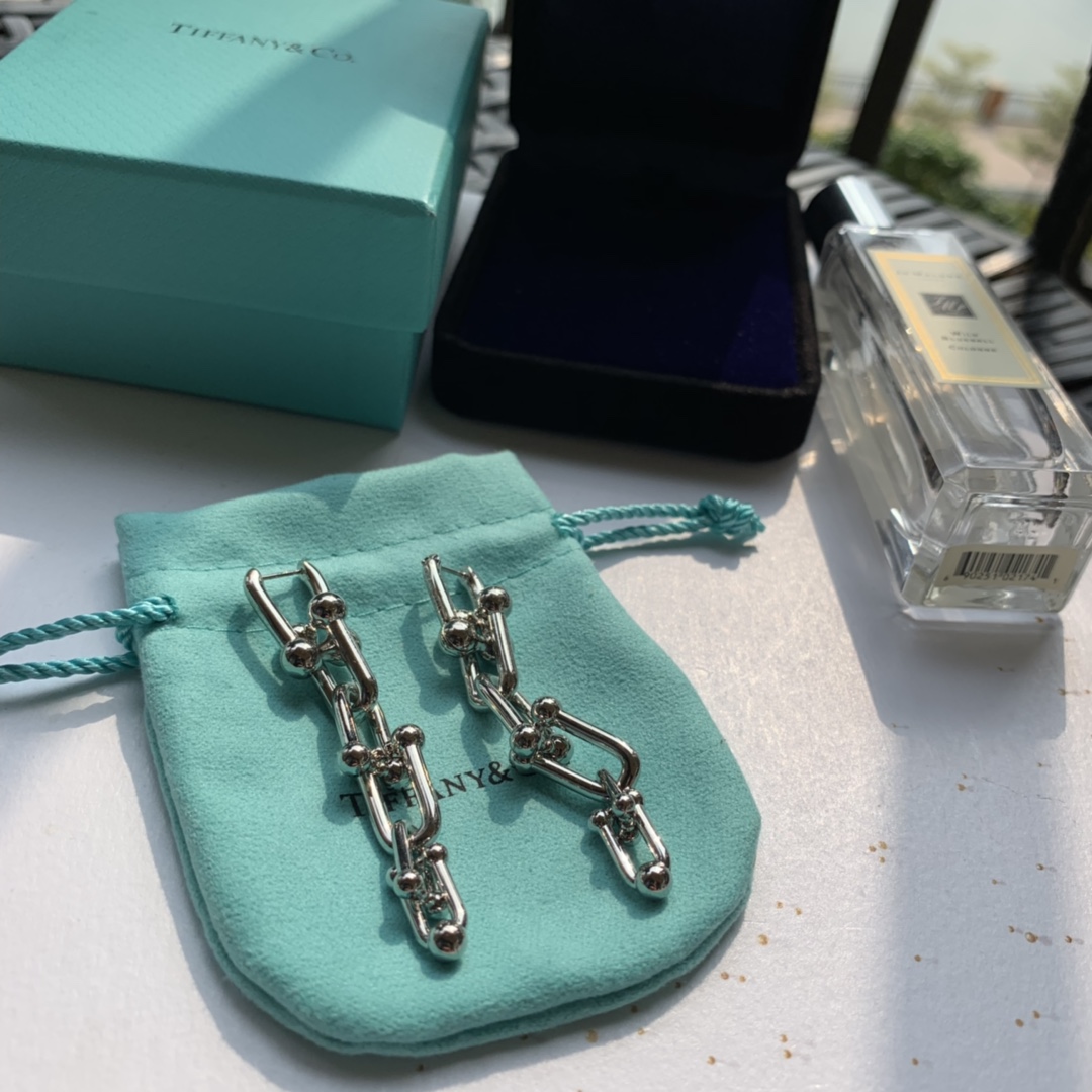 Tiffany&CO Graduated Link Earrings - DesignerGu