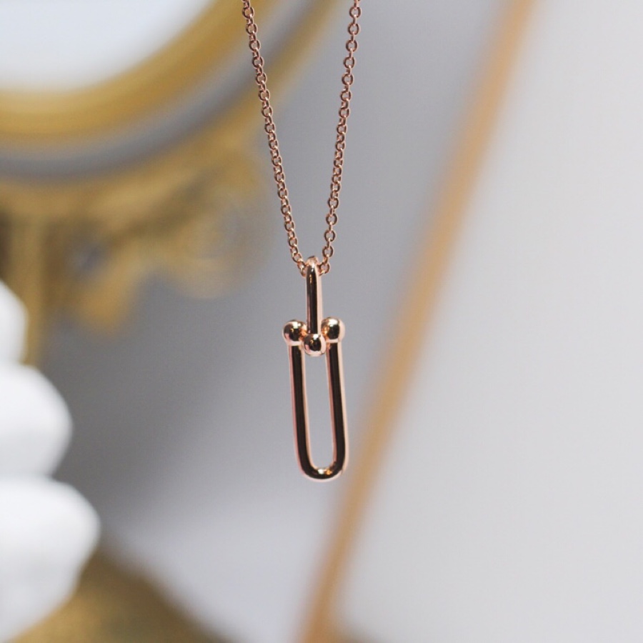 Tiffany&CO Link Pendant - DesignerGu