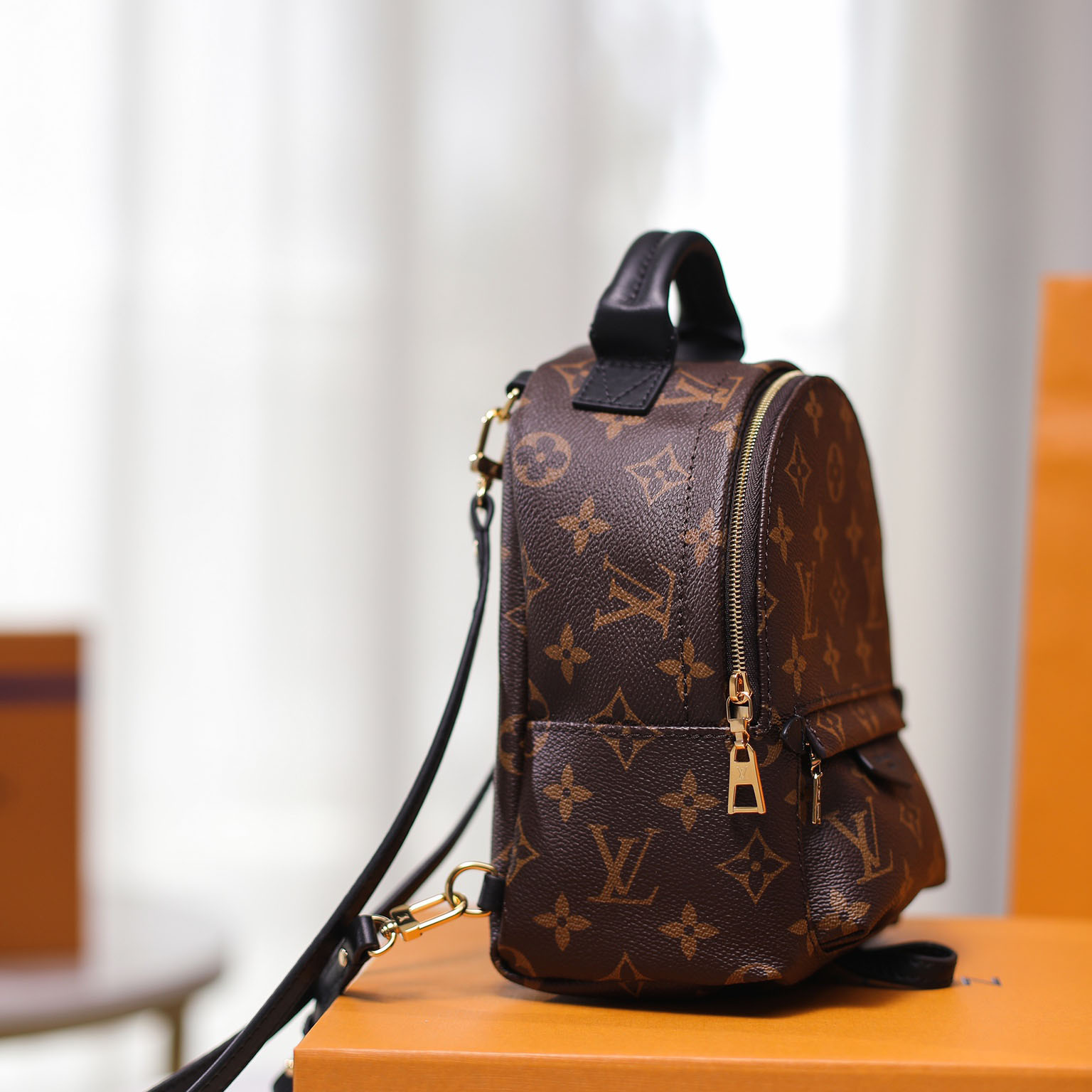 Louis VuittonPalm Springs Mini Backpack(17-22-10cm)   M44873 - DesignerGu