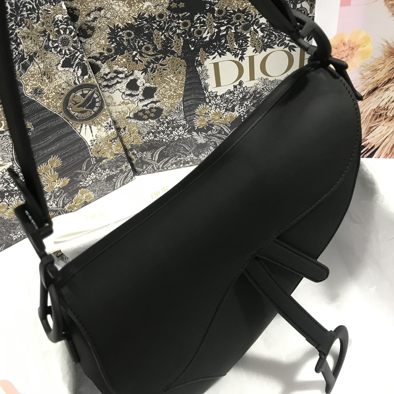 Dior Saddle Bag(25.5-20-6.5cm) - DesignerGu