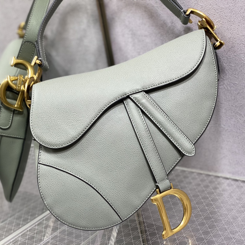 Dior Saddle Bag(25.5-20-6.5cm) - DesignerGu