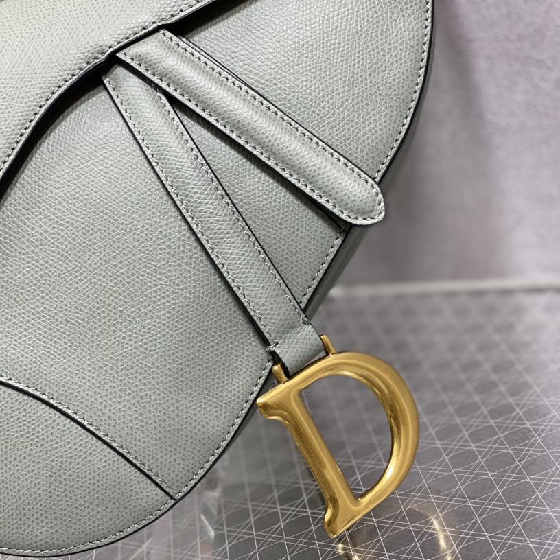 Dior Saddle Bag(25.5-20-6.5cm) - DesignerGu