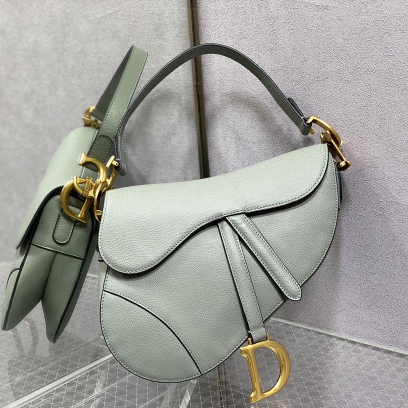 Dior Saddle Bag(25.5-20-6.5cm) - DesignerGu