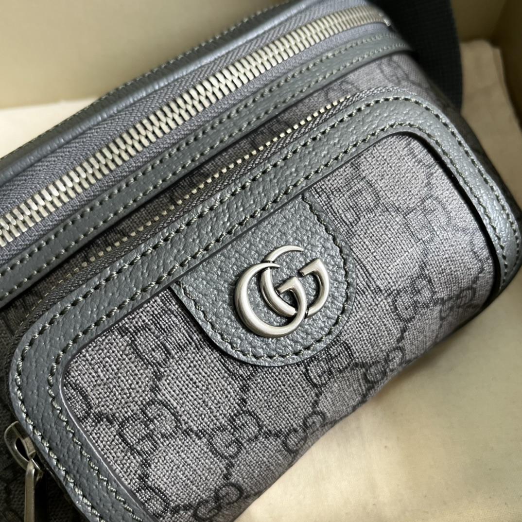 Gucci Ophidia Belt Bag(23-12-2.5cm) - DesignerGu