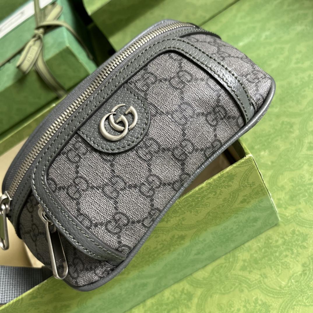 Gucci Ophidia Belt Bag(23-12-2.5cm) - DesignerGu