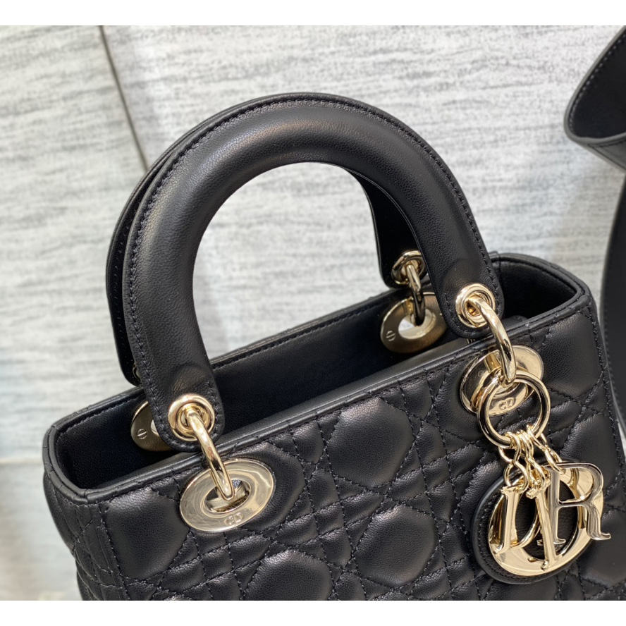 Dior Lady Bag    20cm - DesignerGu