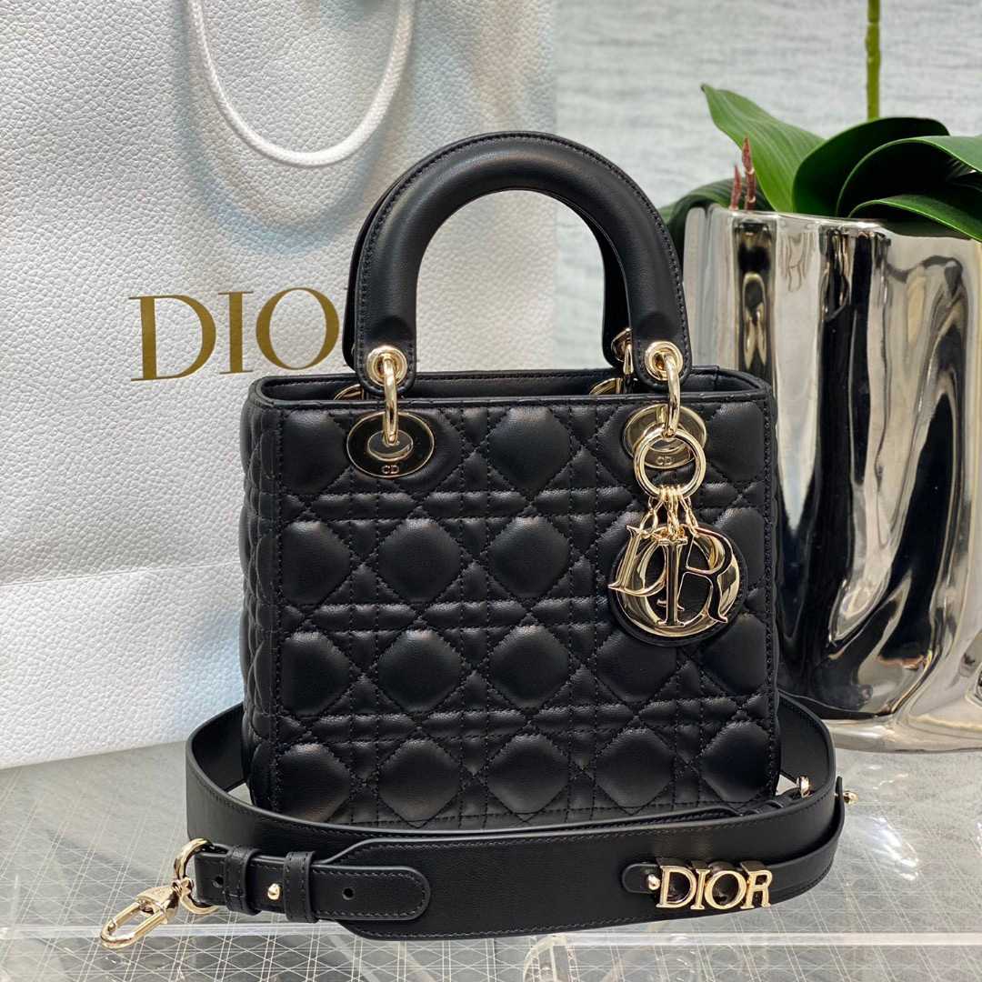 Dior Lady Bag    20cm - DesignerGu