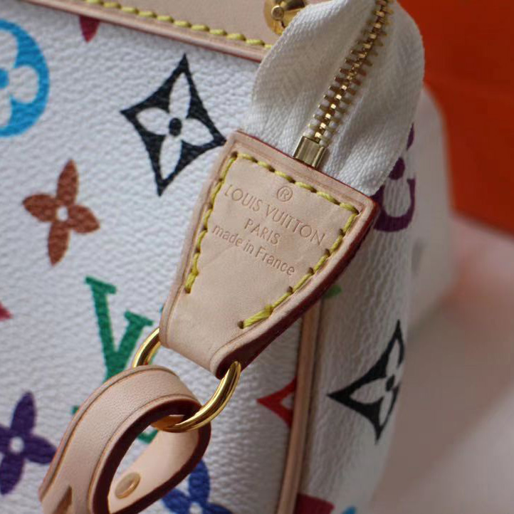 Louis Vuitton x Takashi Murakami Pochette Accessoires Clutch Bag(22-13cm) - DesignerGu