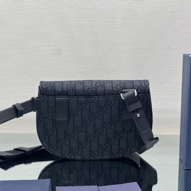 Dior Saddle Pouch - DesignerGu