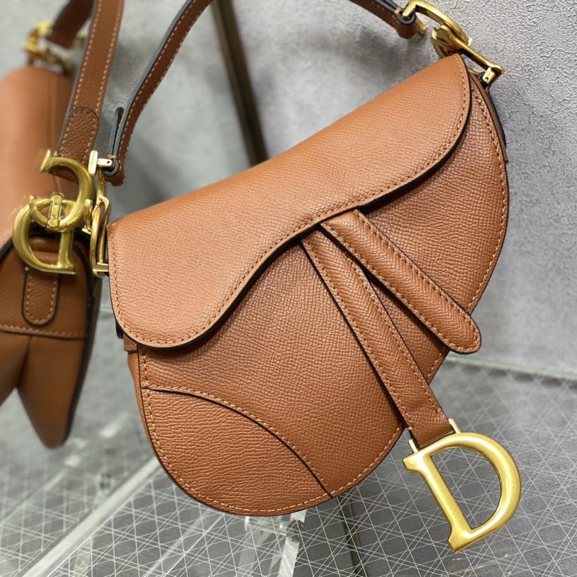 Dior Saddle Bag(19.5cm) - DesignerGu