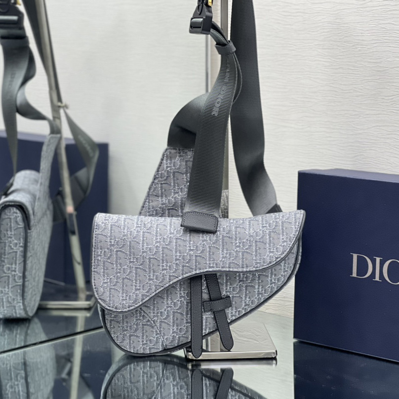 Dior Saddle Bag - DesignerGu