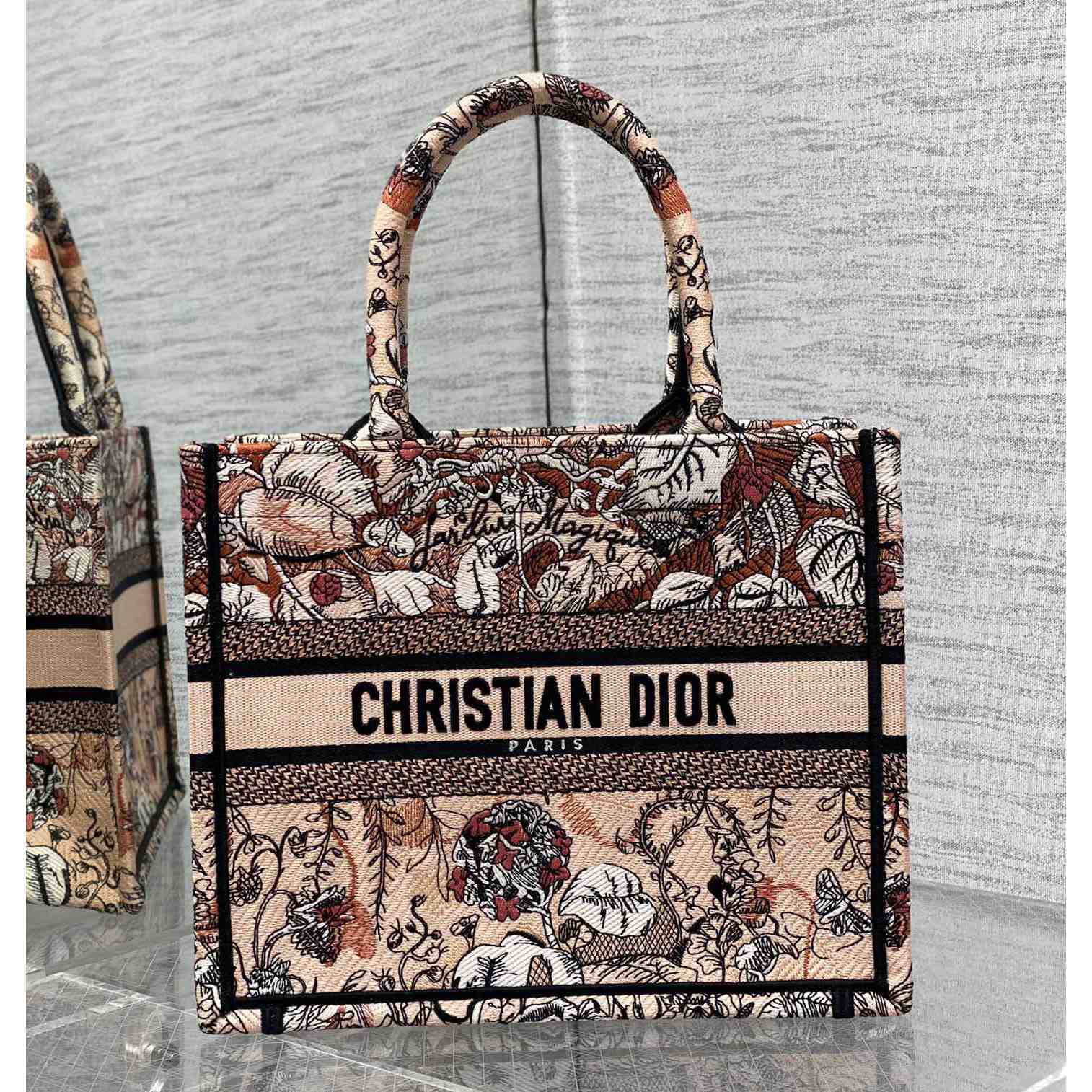 Dior Small Dior Book Tote - DesignerGu