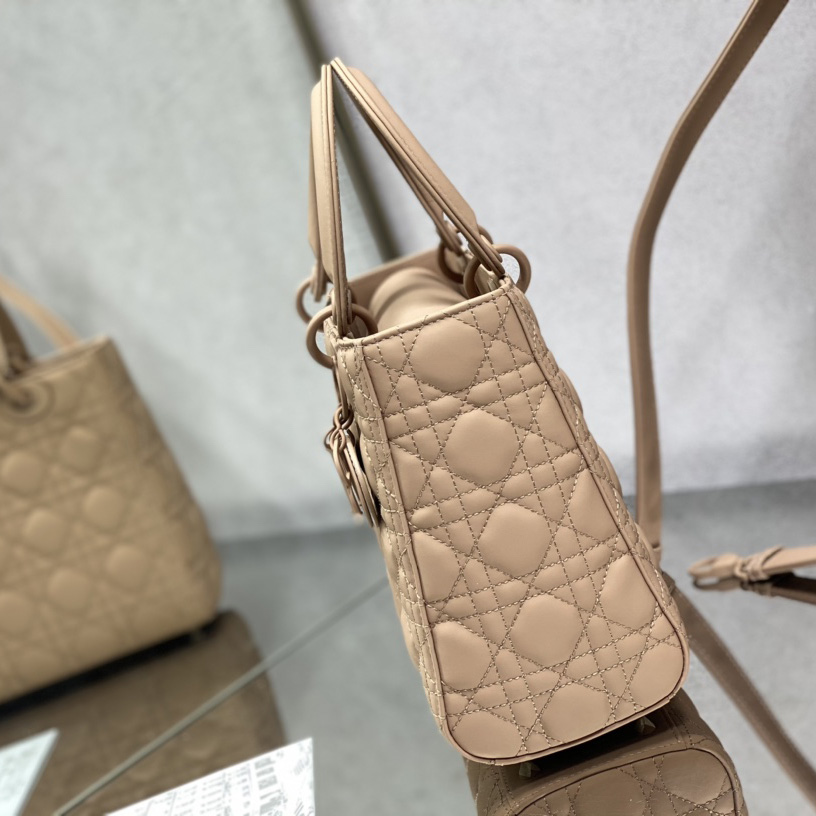 Dior Medium Lady Dior Bag - DesignerGu