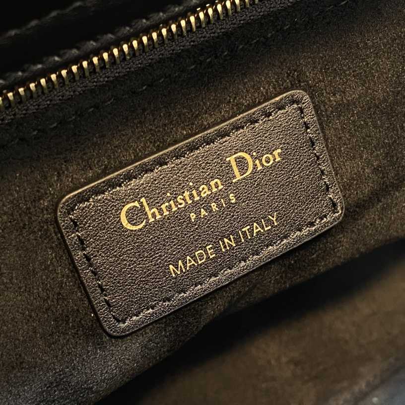 Dior Medium Lady Dior Bag  24cm - DesignerGu