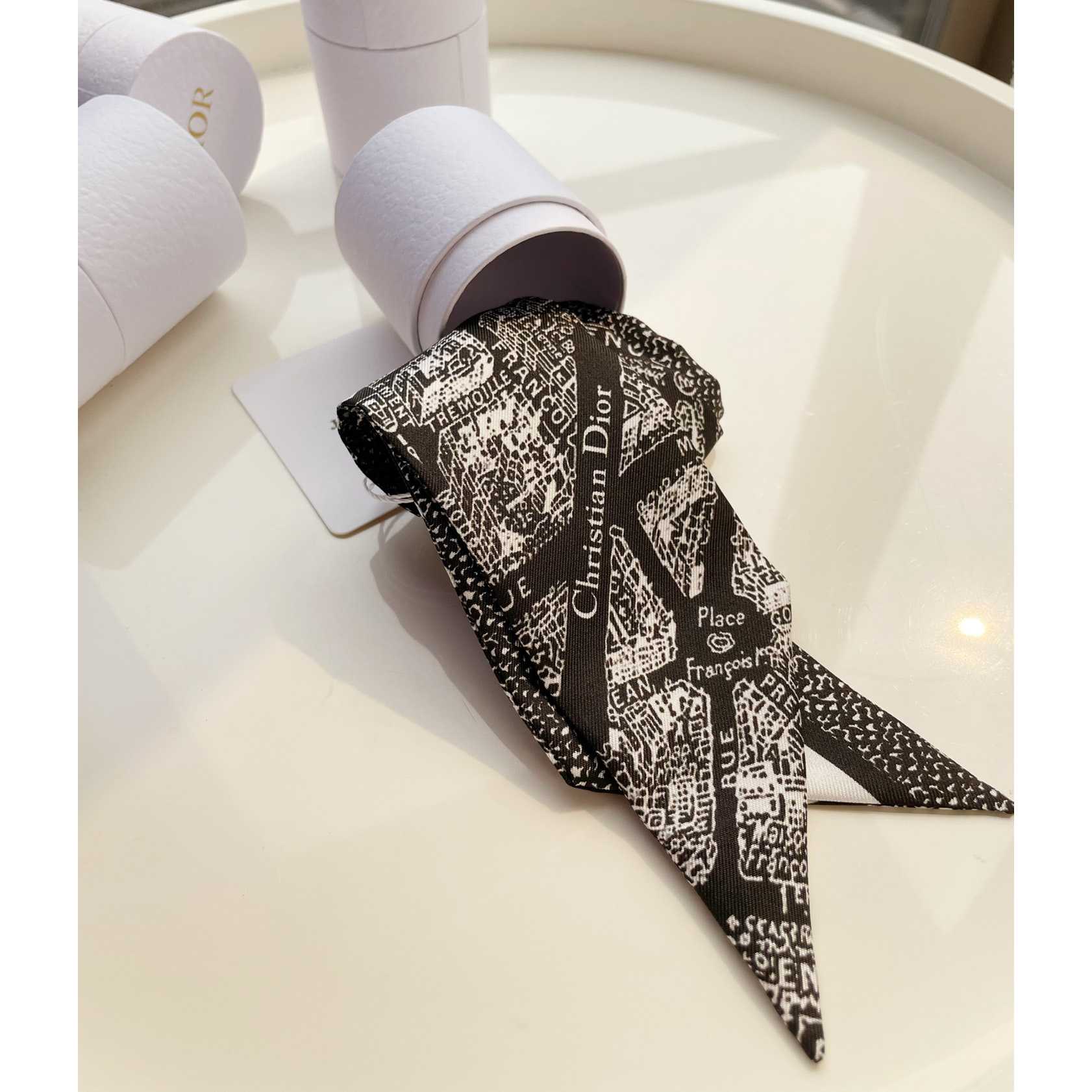 Dior Plan de Paris Mitzah Scarf  - DesignerGu