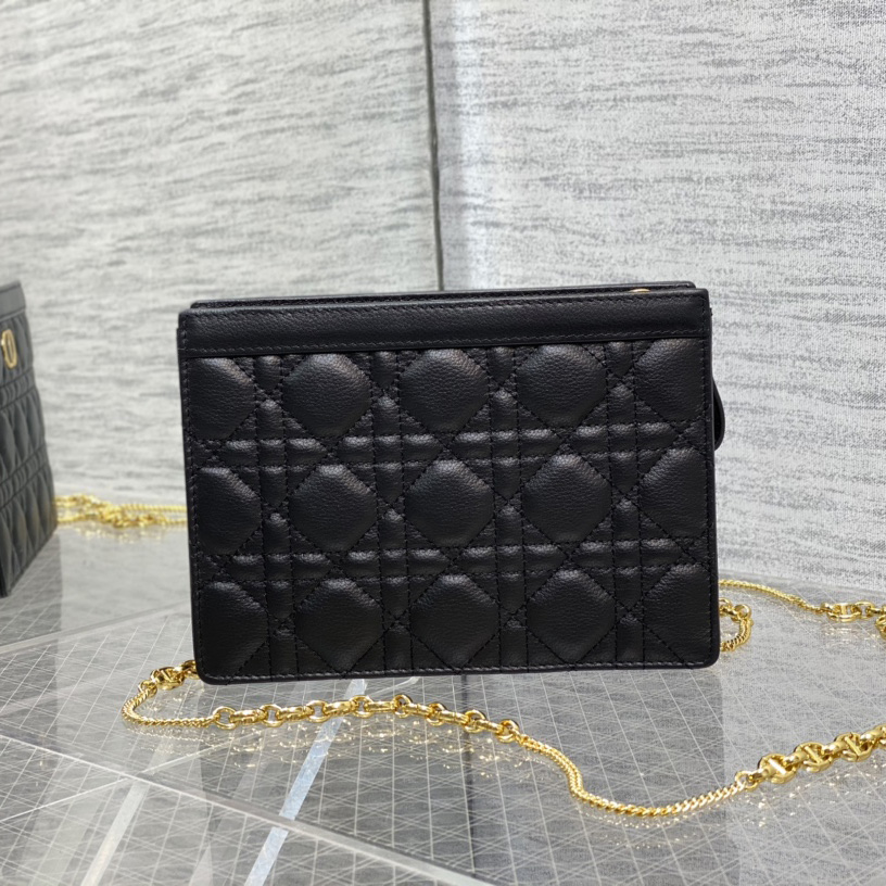 Dior Caro Zipped Pouch With Chain  - DesignerGu