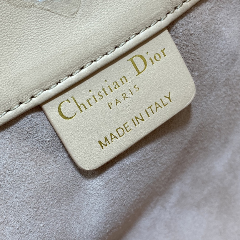 Dior Medium Dior Ammi Bag - DesignerGu