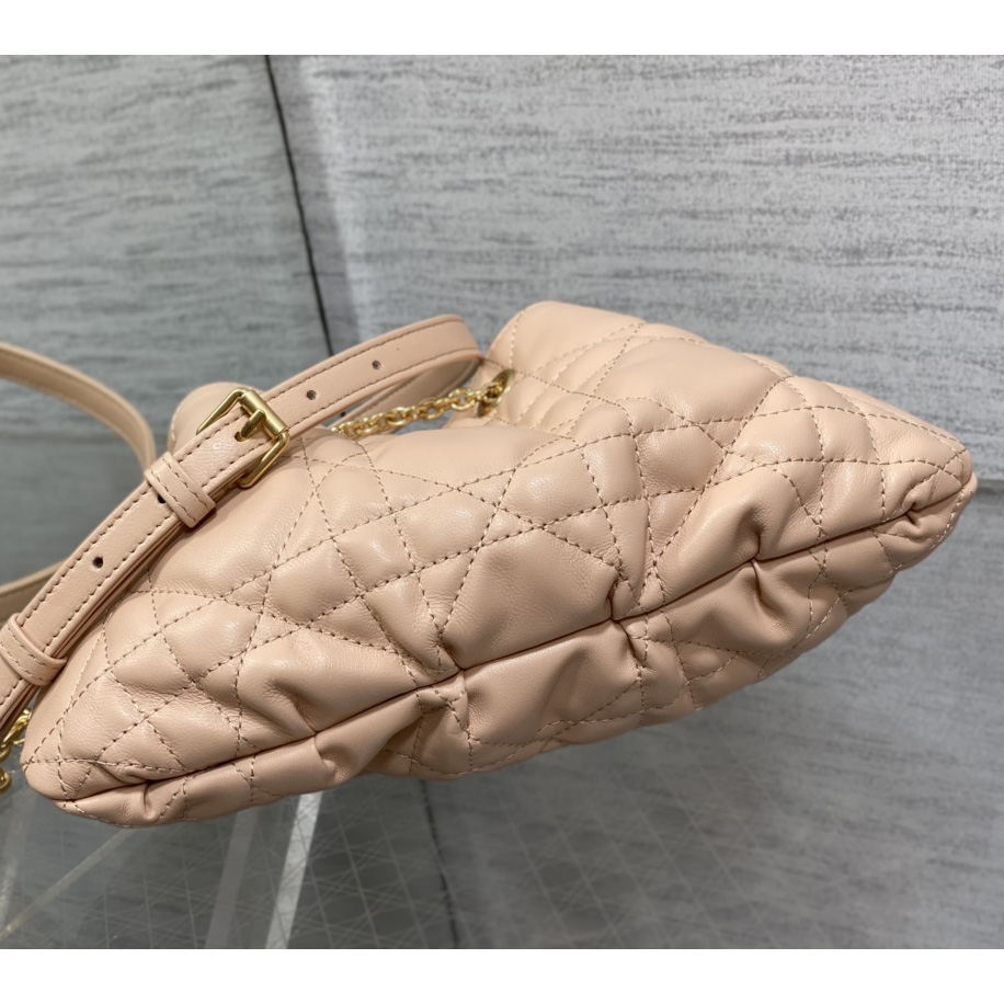 Dior Medium Dior Ammi Bag - DesignerGu