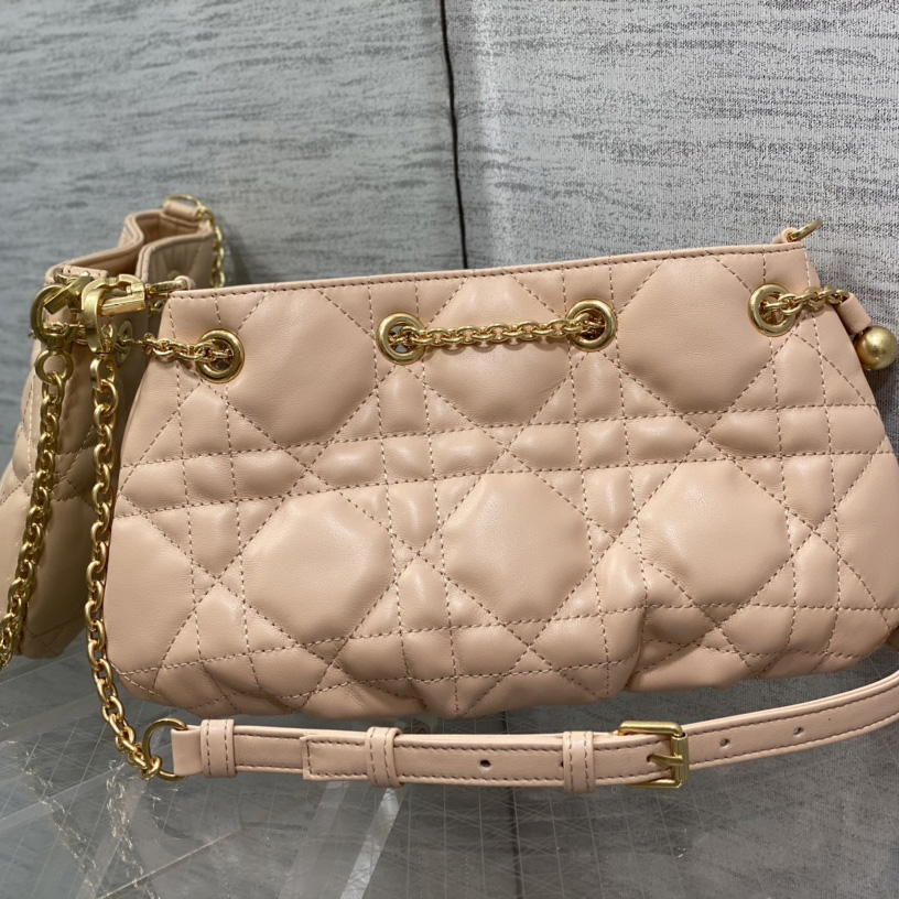 Dior Medium Dior Ammi Bag - DesignerGu