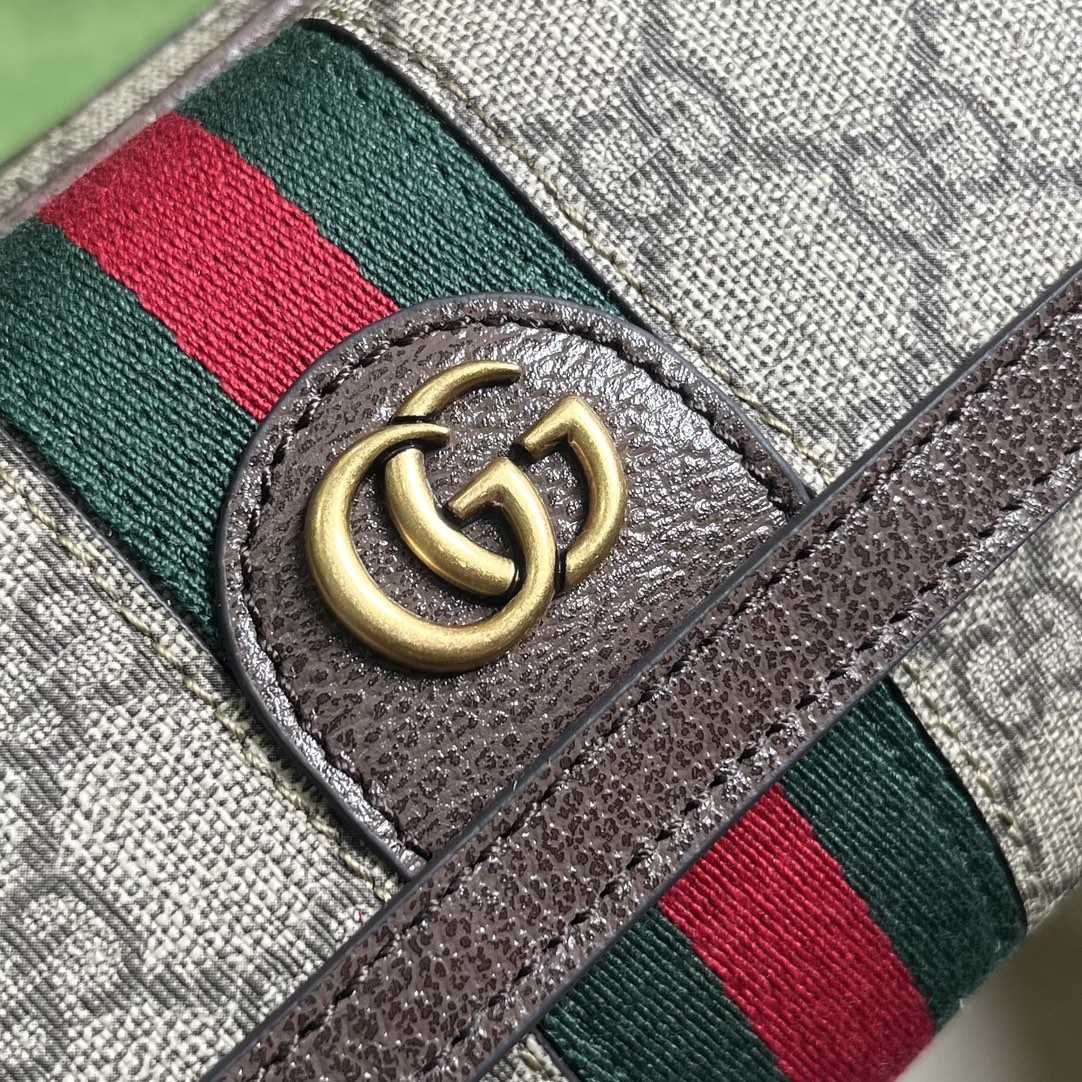 Gucci Ophidia GG Mini Bag(20-12.5-9cm)    - DesignerGu