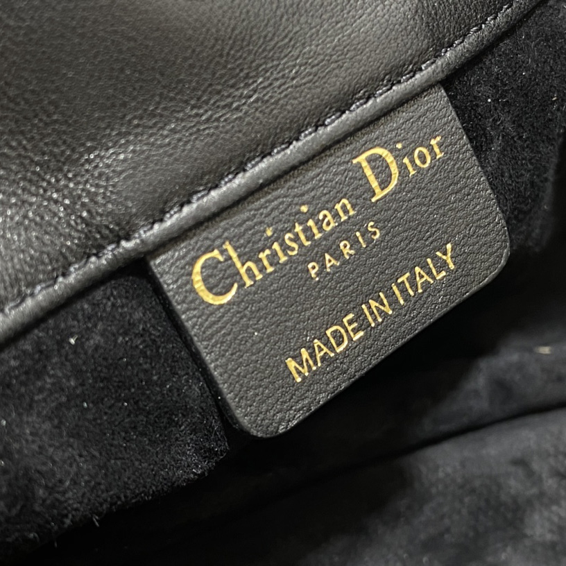 Dior Saddle Messenger Bag - DesignerGu