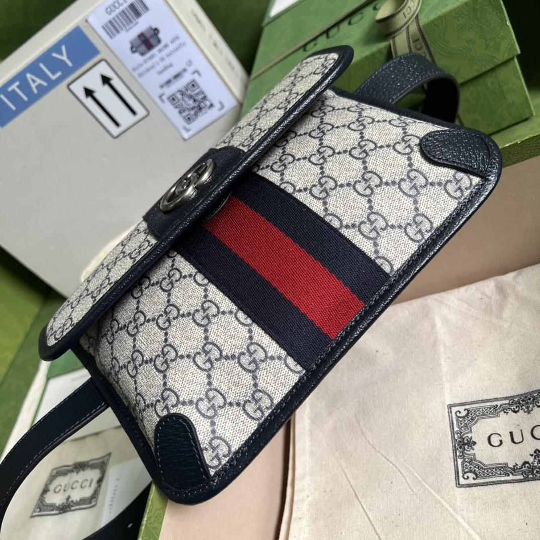 Gucci Ophidia Belt Bag(22*17*3.5cm) - DesignerGu