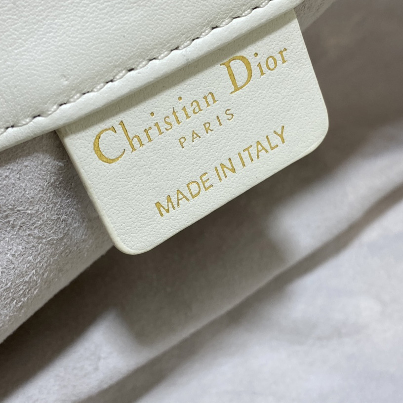 Dior Medium Dior Ammi Bag - DesignerGu