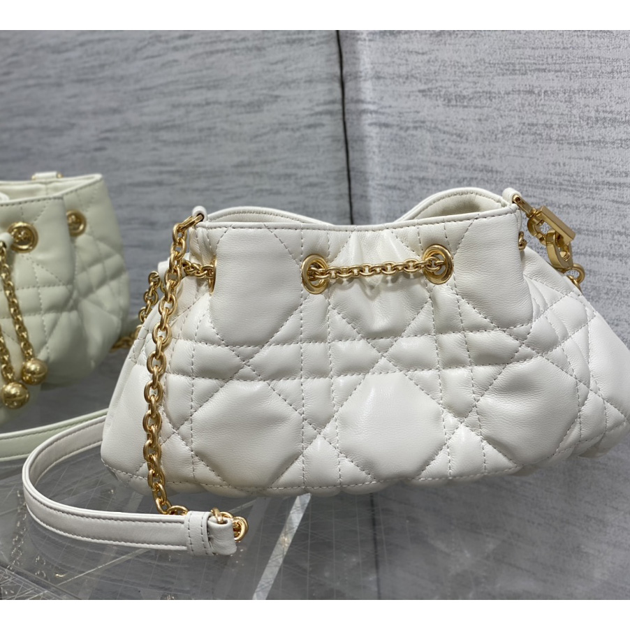 Dior Medium Dior Ammi Bag - DesignerGu