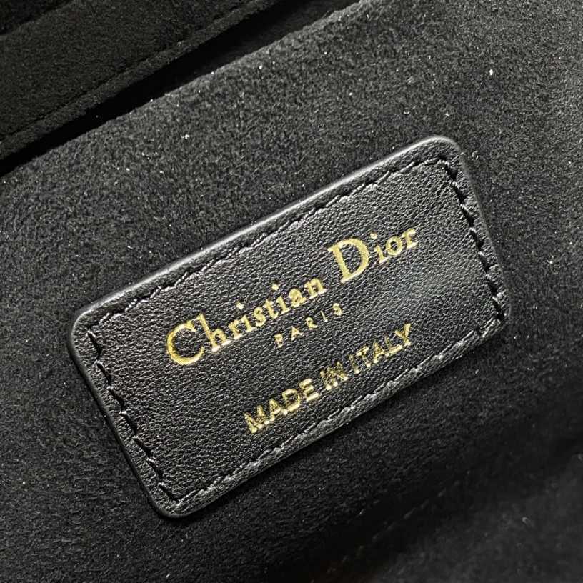 Dior Medium Lady D-Joy Bag - DesignerGu