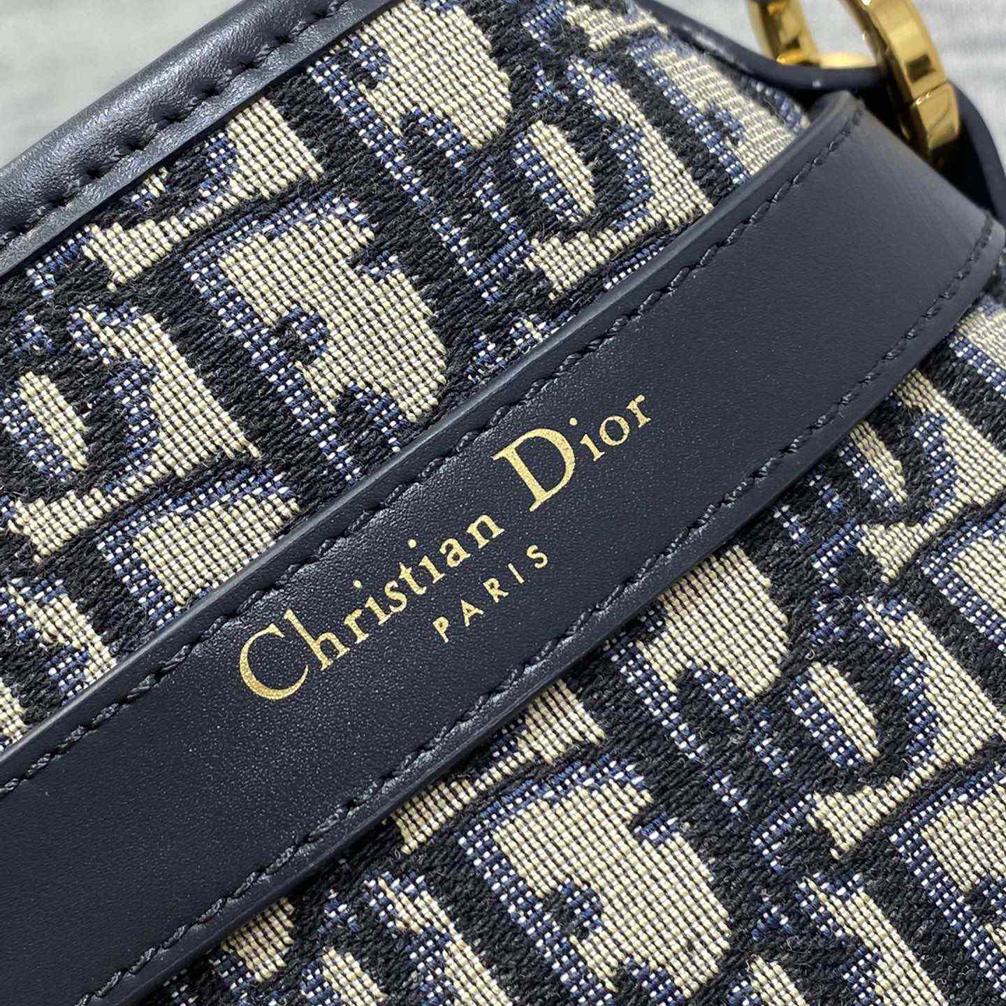 Dior Medium C'est Dior Bag - DesignerGu