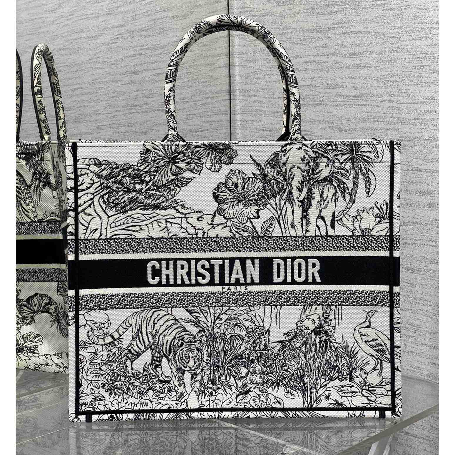 Dior Large Dior Book Tote - DesignerGu