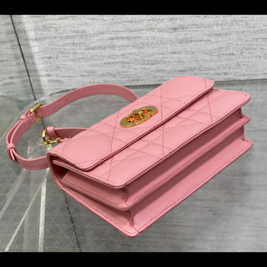 Dior Miss Caro Mini Bag - DesignerGu