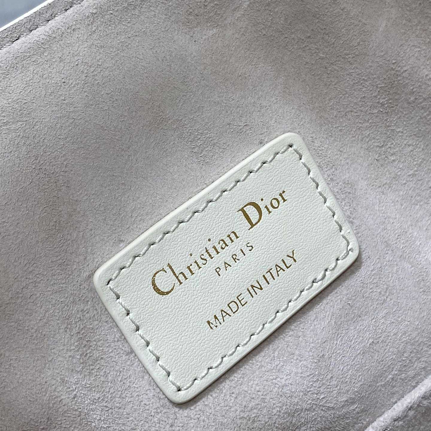 Dior Medium C'est Dior Bag - DesignerGu