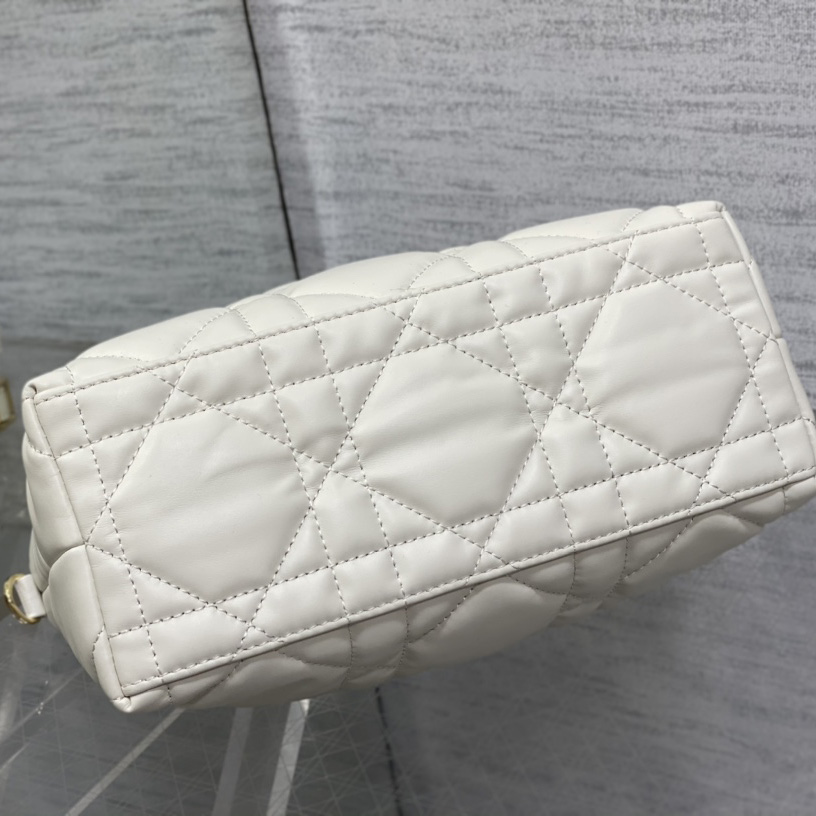 Dior Medium DiorTravel Nomad Pouch - DesignerGu