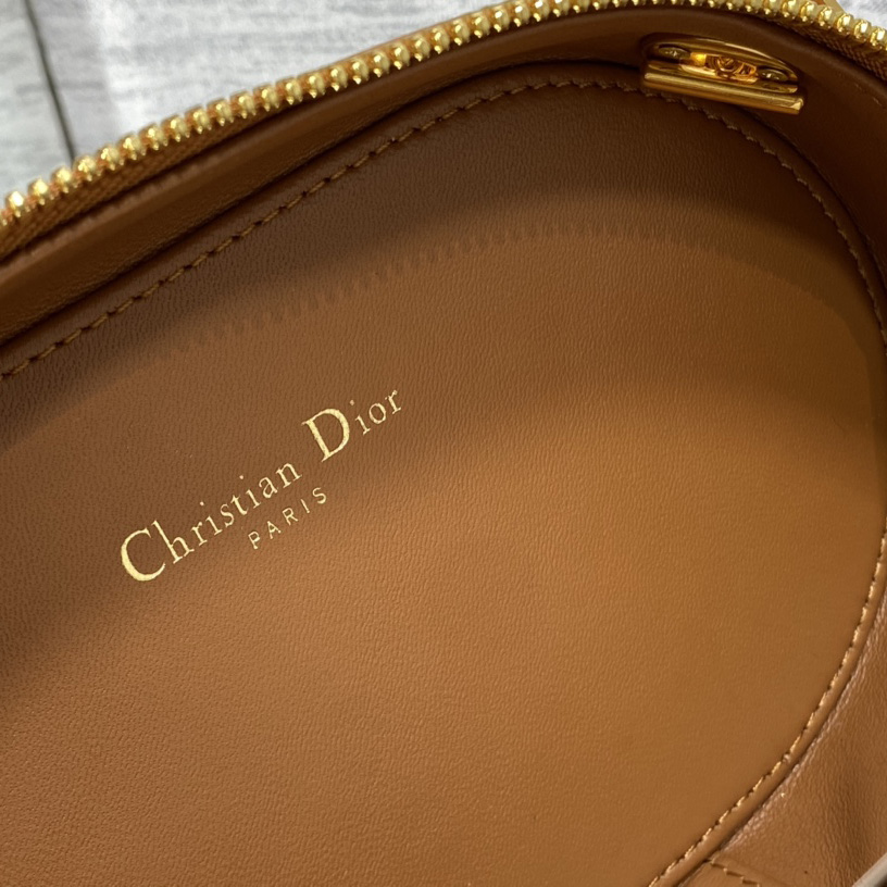 Dior CD Signature Oval Camera Bag - DesignerGu