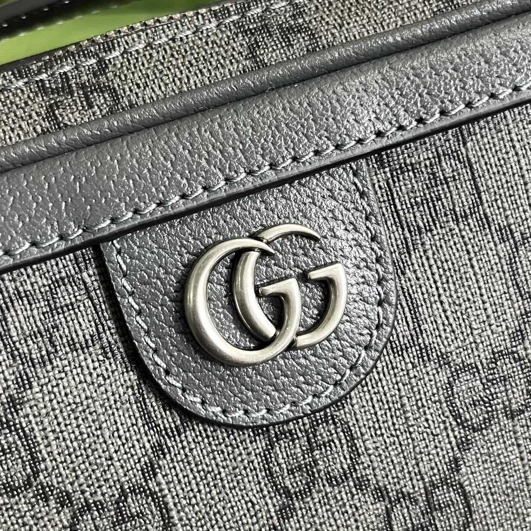 Gucci Ophidia Small Shoulder Bag (24x 16x 7cm) - DesignerGu